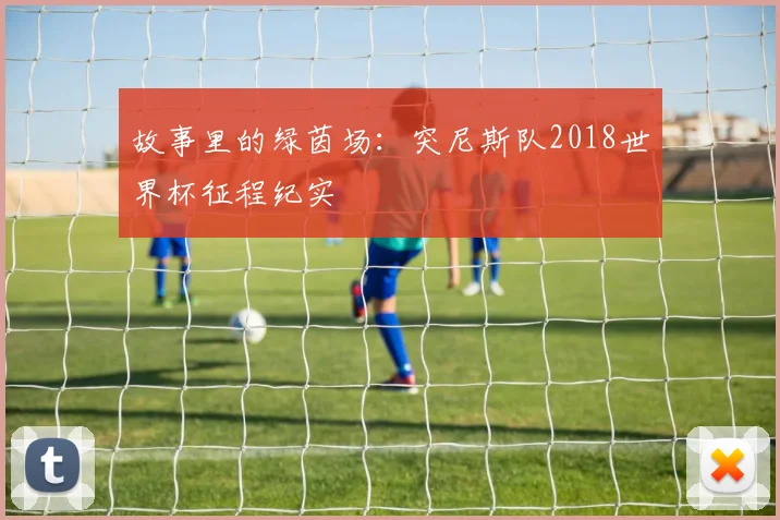 故事里的绿茵场：突尼斯队2018世界杯征程纪实